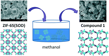 Porous Zinc And Cobalt 2 Nitroimidazolate Frameworks With