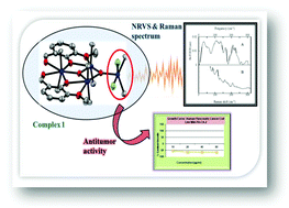 Vibrational Dynamics Ir Raman Nrvs And A Dft Study Of A New Antitumor Tetranuclearstannoxane Cluster Sn Iv Oxo Di O Vanillin Dimethyl Dichloride Physical Chemistry Chemical Physics Rsc Publishing