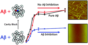 Hp B Cyclodextrin As An Inhibitor Of Amyloid B Aggregation And Toxicity Physical Chemistry Chemical Physics Rsc Publishing