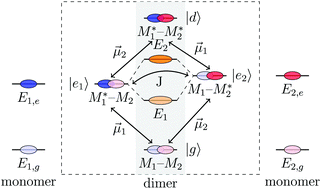 Two Dimensional Optical Spectroscopy Of Homo And Heterodimers Physical Chemistry Chemical Physics Rsc Publishing