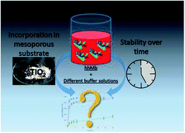 The Effect Of The Buffer Solution On The Adsorption And Stability Of Horse Heart Myoglobin On Commercial Mesoporous Titanium Dioxide A Matter Of The Right Choice Physical Chemistry Chemical Physics Rsc