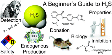 A Practical Guide To Working With H2s At The Interface Of Chemistry And Biology Chemical Society Reviews Rsc Publishing