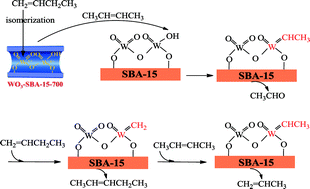 Metathesis butenes 07 picture