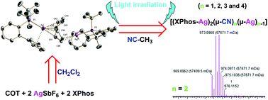 Multinuclear silver(i) XPhos complexes with cyclooctatetraene ...