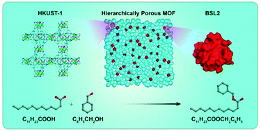 Immobilization Of Bacillus Subtilis Lipase On A Cu Btc Based Hierarchically Porous Metal Organic Framework Material A Biocatalyst For Esterification Dalton Transactions Rsc Publishing