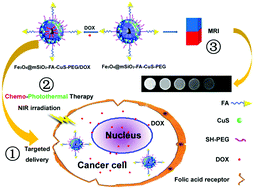 Fe3O4@mSiO2-FA-CuS-PEG nanocomposites for magnetic resonance imaging ...