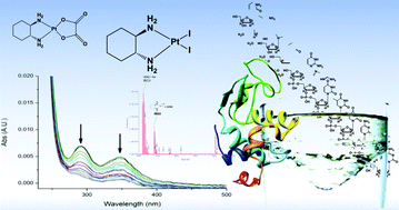 PtI2(DACH), the iodido analogue of oxaliplatin as a candidate for ...