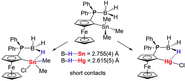 Planar Chiral Ferrocenylphosphine Borane Complexes Featuring Agostic Type B H E E Hg Sn Interactions Dalton Transactions Rsc Publishing