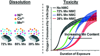 Influence Of Nickel Manganese Cobalt Oxide Nanoparticle Composition On Toxicity Toward Shewanella Oneidensis Mr 1 Redesigning For Reduced Biological Impact Environmental Science Nano Rsc Publishing