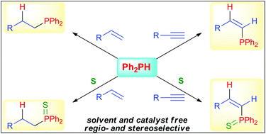 Catalyst and solventfree hydrophosphination and
