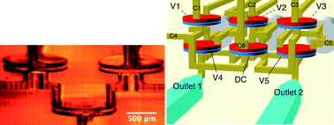 High density 3D printed microfluidic valves, pumps, and multiplexers - Lab  on a Chip (RSC Publishing)