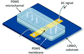 Acoustothermal tweezer for droplet sorting in a disposable 