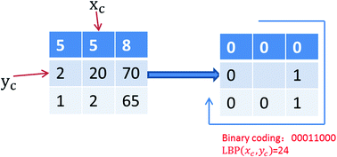 Robust and accurate prediction of protein self-interactions from amino ...