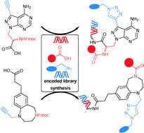 Design and synthesis of DNA-encoded libraries based on a benzodiazepine ...