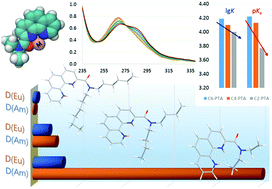 Solvent extraction of americium(iii) and europium(iii) with tridentate ...