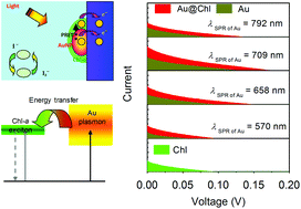 土信田裕介の「Solar Plexus System 」 Plasmon resonance energy transfer and plexcitonic solar cell