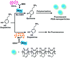 MnO2-induced synthesis of fluorescent polydopamine nanoparticles for  reduced glutathione sensing in human whole blood