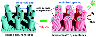 TiO2 Nanotubes With Laterally Spaced Ordering Enable Optimized ...