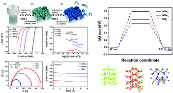 Experimental and theoretical insights to demonstrate the hydrogen evolution  activity of layered platinum dichalcogenides electrocatalysts -  ScienceDirect