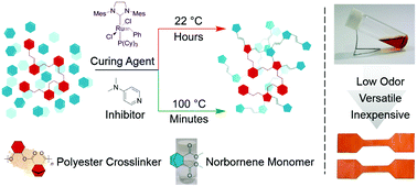 A delayed curing ROMP based thermosetting resin - Polymer Chemistry (RSC  Publishing)