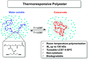 Is Polyester Biodegradable?