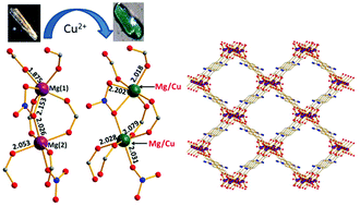 A microporous Mg2+ MOF with cation exchange properties in a single ...