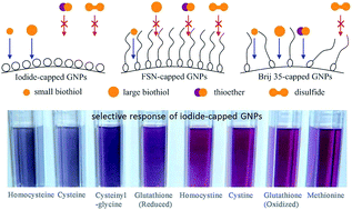 best recommended glutathione N Acetyl Cysteine