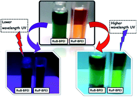 Fluorescent active ruthenium(ii) complex units containing bpy or phen ...