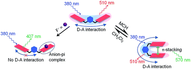 An unusual one-donor-two-acceptor interaction in a pair of covalently ...