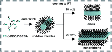 Evolution Of Morphologies Of A Pe B Peo Block Copolymer In An Epoxy Solvent Induced By Polymerization Followed By Crystallization Driven Self Assembly Of Pe Blocks During Cooling Rsc Advances Rsc Publishing