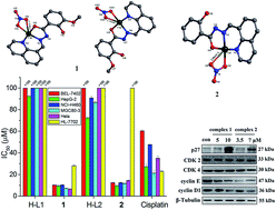 Two hydrazone copper(ii) complexes: synthesis, crystal structure ...