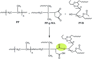 Morphological Dynamic Mechanical Rheological And Impact Strength Properties Of The Pp Pvb Blends The Effect Of Waste Pvb As A Toughener Rsc Advances Rsc Publishing