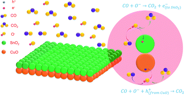 Highly sensitive and selective CO gas sensor based on a hydrophobic ...
