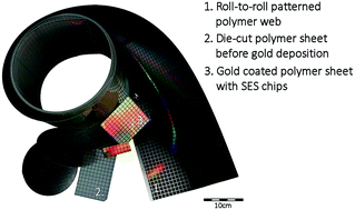 Detection Of Listeria Innocua On Roll To Roll Produced Sers Substrates With Gold Nanoparticles Rsc Advances Rsc Publishing