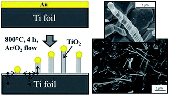 Single-crystal TiO2 nanowires by seed assisted thermal oxidation of Ti ...