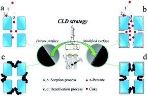 Catalytic Cracking Of N Pentane Over Cld Modified Hzsm 5 Zeolites Rsc Advances Rsc Publishing