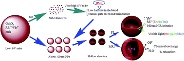 Hollow-structured upconverting sesquioxide targeted nanoprobes for ...