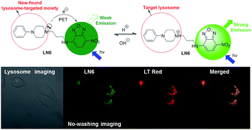 A novel NBD-based pH “on–off” fluorescent probe equipped with the 