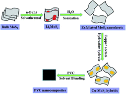 Synthesis and characterization of Cu–MoS2 hybrids and their influence ...
