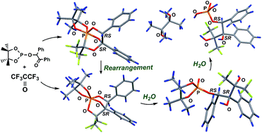 Synthesis Crystal Structure And Hydrolysis Of Novel Isomeric Cage P C P O Phosphoranes On The Basis Of 4 4 5 5 Tetramethyl 2 2 Oxo 1 2 Diphenylethoxy 1 3 2 Dioxaphospholane And Hexafluoroacetone Rsc Advances Rsc Publishing