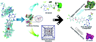 Study of novel pyrazolo[3,4-d]pyrimidine derivatives as selective ...