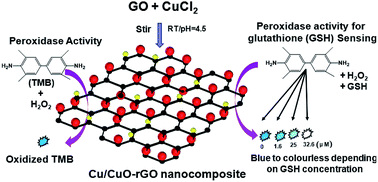 Novel synthesis of a mixed Cu/CuOreduced graphene oxide nanocomposite with  enhanced peroxidase-like catalytic activity for easy detection of  glutathione in solution and using a paper strip - RSC Advances (RSC  Publishing)