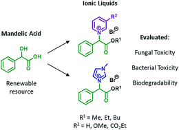 Mandelic Acid Derived Ionic Liquids Synthesis Toxicity And Biodegradability Rsc Advances Rsc Publishing