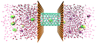 Separation of cyanide from an aqueous solution using armchair silicon carbide nanotubes ...