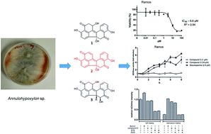 Daldinone derivatives from the mangrove-derived endophytic fungus ...