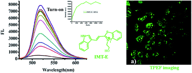 Turn-on fluorescent probes that can light up endogenous RNA in nucleoli and  cytoplasm of living cells under a two-photon microscope - RSC Advances (RSC  Publishing)