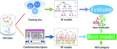 Predicting Human Intestinal Absorption With Modified Random Forest Approach A Comprehensive Evaluation Of Molecular Representation Unbalanced Data And Applicability Domain Issues Rsc Advances Rsc Publishing