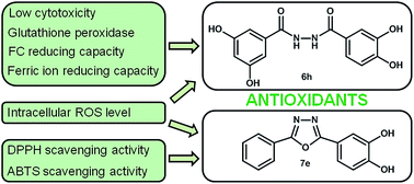 glutathione reductase antioxidant Synthesis and antioxidant activity of 1,3,4-oxadiazoles and their  diacylhydrazine precursors derived from phenolic acids