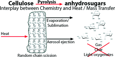 The Interplay Between Chemistry And Heat Mass Transfer During The Fast Pyrolysis Of Cellulose Reaction Chemistry Engineering Rsc Publishing