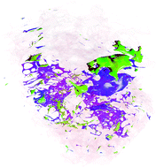 Deep learning and 3D-DESI imaging reveal the hidden metabolic ...